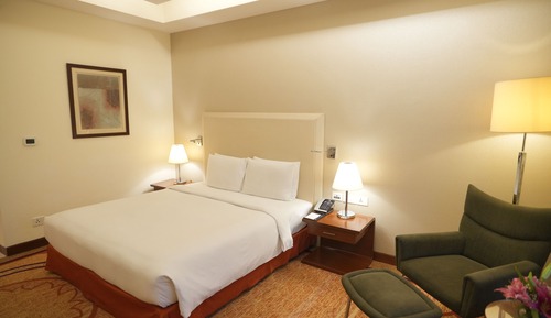 Room, 1 King Bed, Accessible (Guest Room)