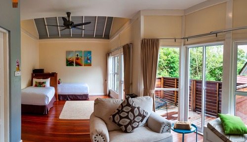 Nepenthes Suite Twin