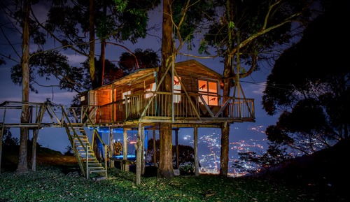 Superior Tree House, 1 Queen Bed, Hot Tub, City View