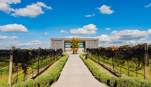 Family Quadruple Room