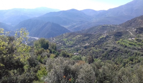 Apartment, Private Bathroom (de 1 dormitorio)