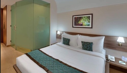 Winter Green Premium Room 