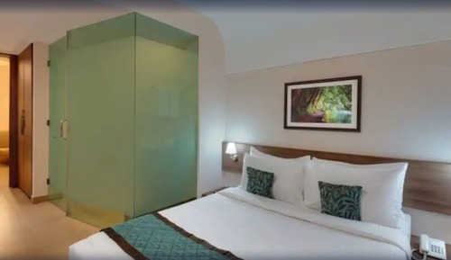 Fern Club Premium Room