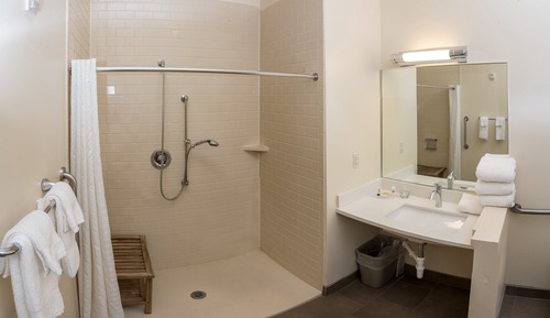 Suite, 1 Bedroom, Accessible (Roll-In Shower)