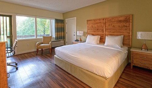 Room, 1 King Bed, Accessible (Lodge)
