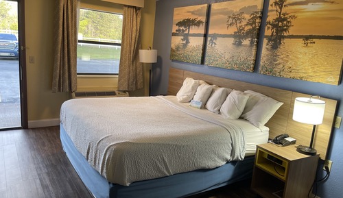 Deluxe Room, 1 King Bed, Non Smoking, Refrigerator (Exterior Room)