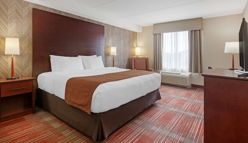 Standard Room, 1 King Bed, Non Smoking