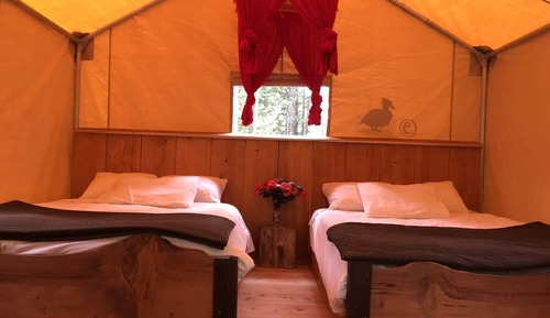 Family Tent, 2 Double Beds, Balcony