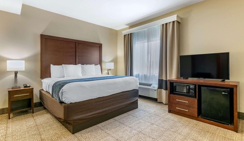 Suite, 1 King Bed with Sofa bed, Non Smoking