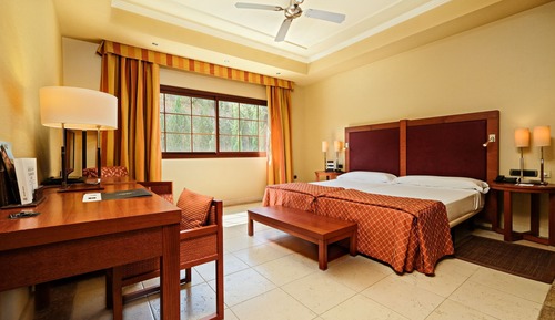 Standard Double Room, Mountain View