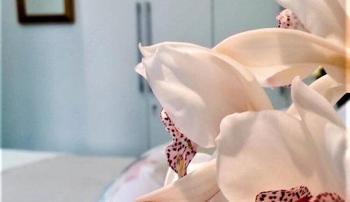 Romantic Triple Room