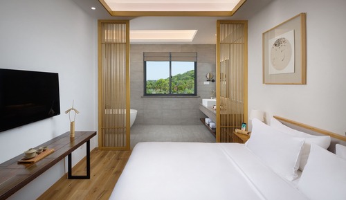 Superior Double Room B