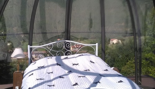 Cabin (Glass)