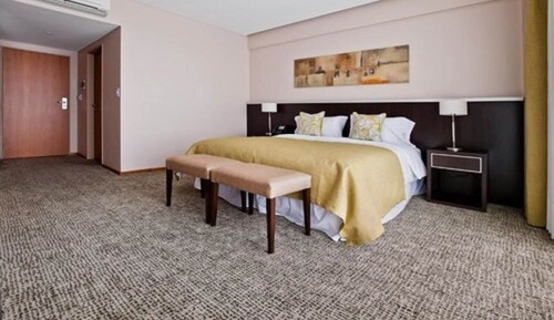Executive Double Room, 1 Queen Bed