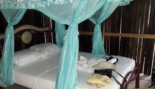 Family Double or Twin Room