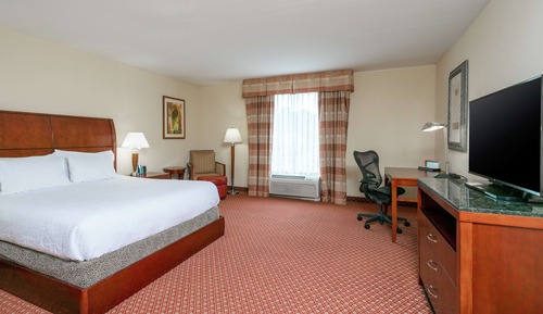 Room, 1 King Bed (Evolution)