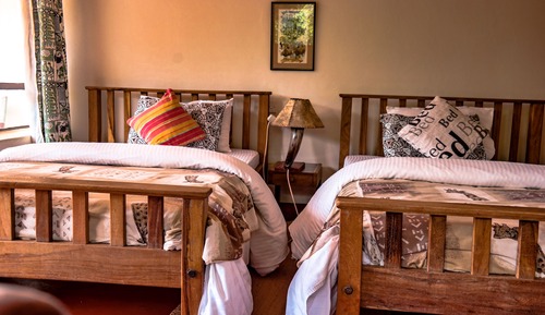 Superior Single Room