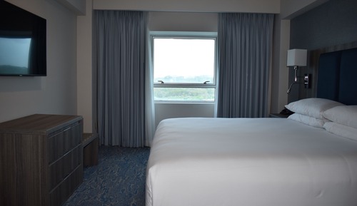 Room, 1 King Bed