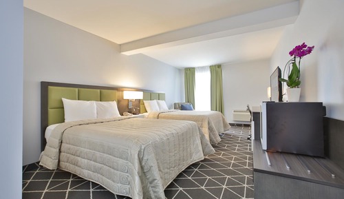 Luxury Single Room, 2 Queen Beds