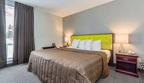 Single Room, 1 Queen Bed