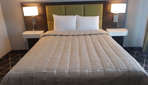 Luxury Double Room Single Use, 2 Queen Beds, Garden View