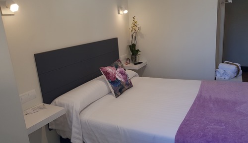 Basic Double Room