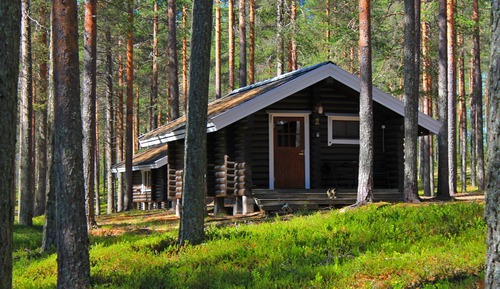 Family Cabin