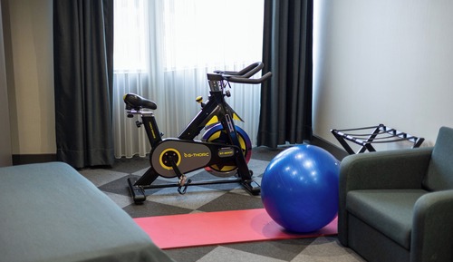 Room, 1 King Bed, Smoking (Media Room)