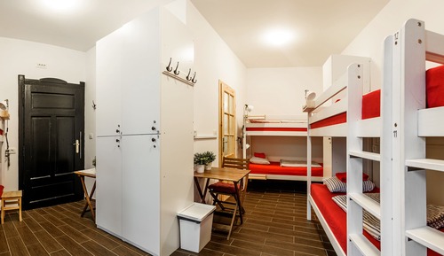 Bunk Bed in 8-Bed Mixed Dormitory Room