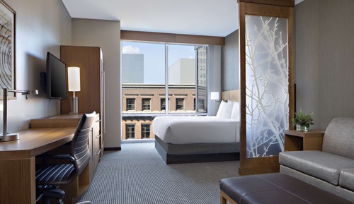 Room, 1 King Bed with Sofa bed, Accessible (Shower)