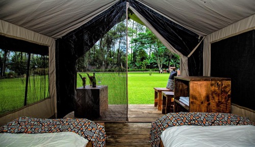 Basic Tent, 2 Twin Beds, Garden View (Bell Budget)