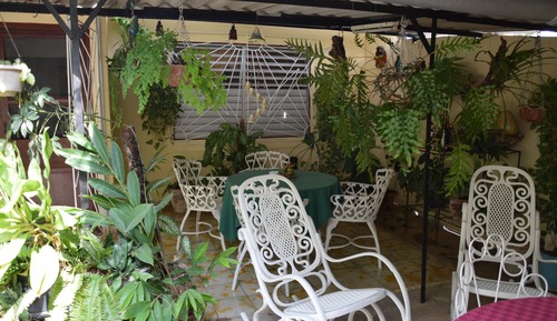 Basic Double or Twin Room