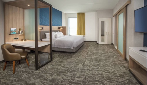 Executive Suite, 1 King Bed with Sofa bed, Non Smoking, Corner