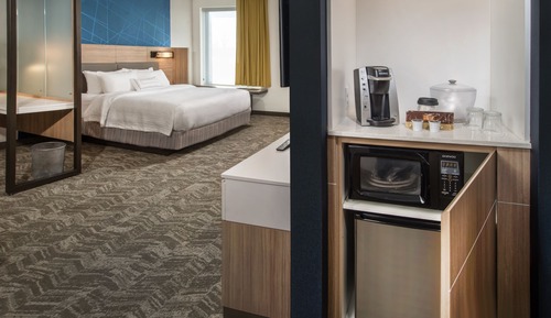 Suite, 1 King Bed with Sofa bed (Mobility Accessible, Roll-In Shower)