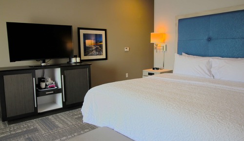 Room, 1 King Bed, Non Smoking, Refrigerator