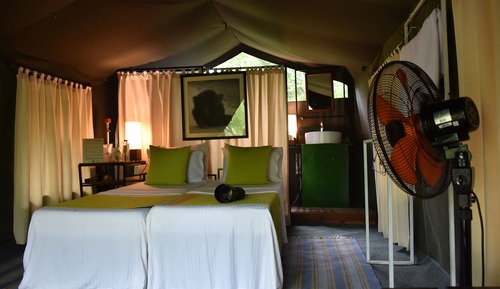 Tent on All Inclusive