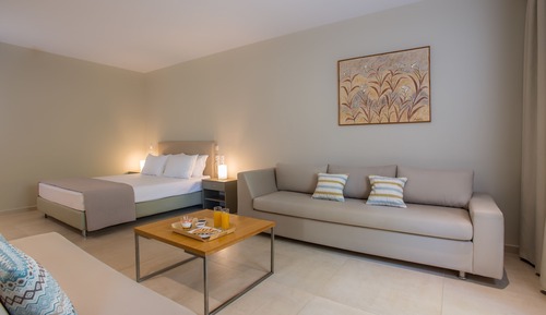 Executive Room, 1 Bedroom