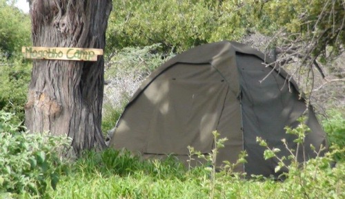 Basic Tent, Shared Bathroom