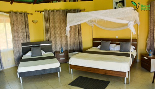 Deluxe Double or Twin Room