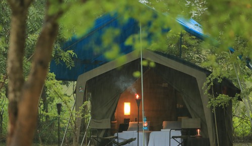 Glamping bordering wilpattu with guided bush walk