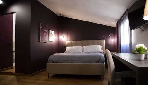 Superior Suite, City View