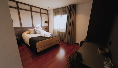 Standard Double Room, Balcony, Mountain View