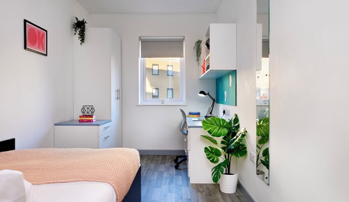 Single Room, Non Smoking