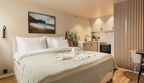 Comfort Apartment, 1 Double Bed, Non Smoking, Private Bathroom