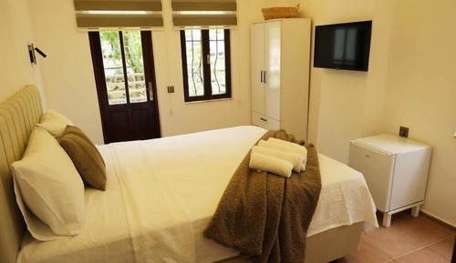 Standard Double Room, Balcony, Mountain View