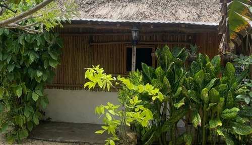 Basic Cabin, Patio, Courtyard View