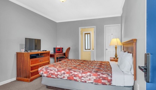 Apartment (1 Bedroom)