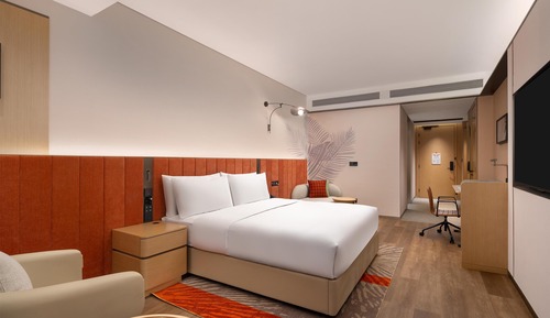 Room, 1 King Bed, Accessible