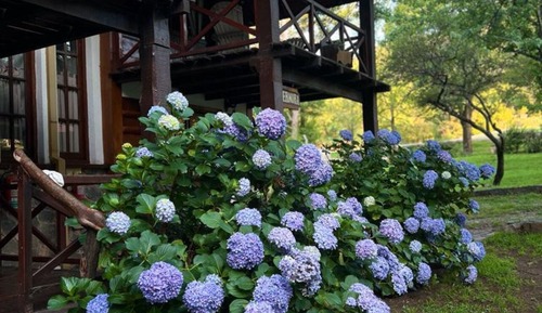 Classic Double Room, Mountain View