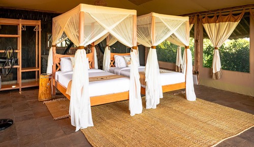 Family Suite, Park View